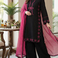 Exquisite Pakistani Suit