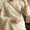 Fendi Satin Sequence Saree