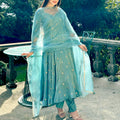 Heavy Vichitra Silk Gown