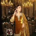 New Designer Velvet Suit Set