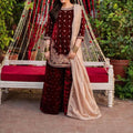 Viscose Velvet Top with Sharara Set