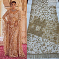 Bollywood Latest Net Saree